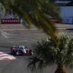 McLpalms